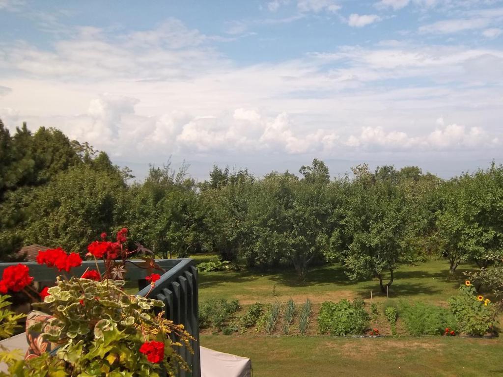 Gite La Halte Du Verger Bed And Breakfast Rivière-du-Loup Zewnętrze zdjęcie